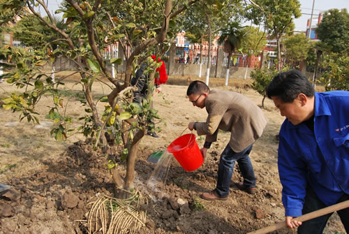 �Ϻ������y�T�S�����L���������ڽo��ľ����