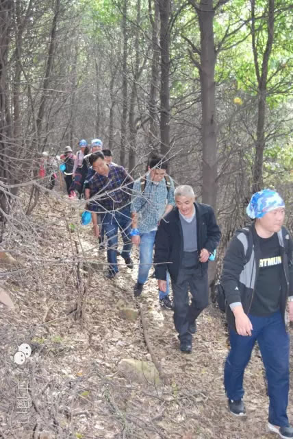 �Ϻ������y�T�S2016���＾ͽ�����л�� �D12