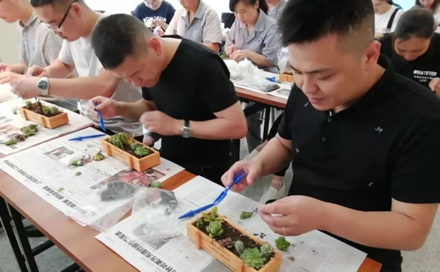 �����y�T�Gɫ����DIY��ӣ��D2��