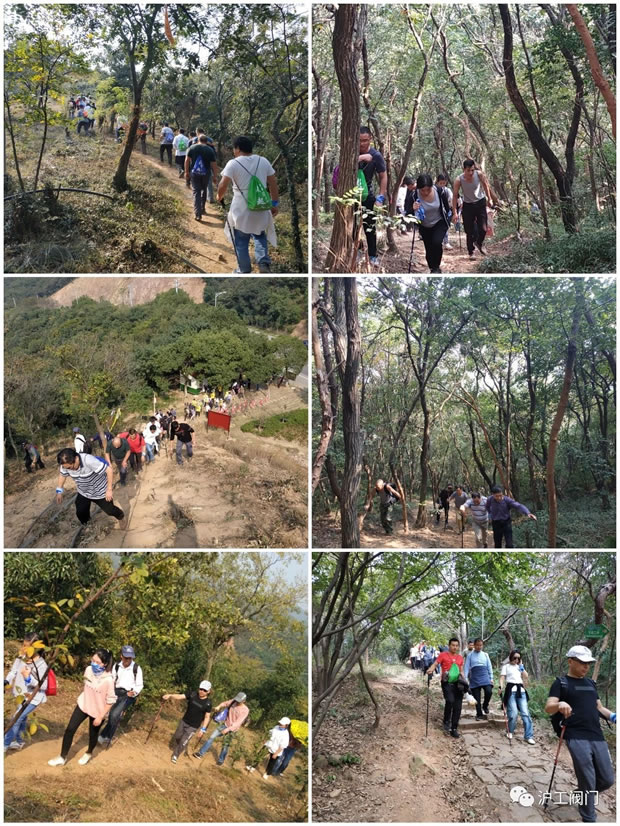 �Ϻ������y�T�S2019���＾ͽ�����л�ӣ��D6��