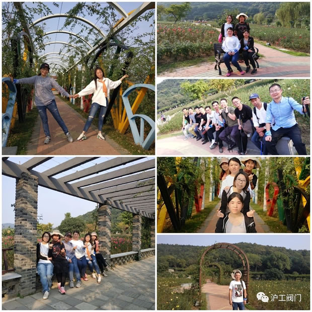 �Ϻ������y�T�S2019���＾ͽ�����л�ӣ��D7��